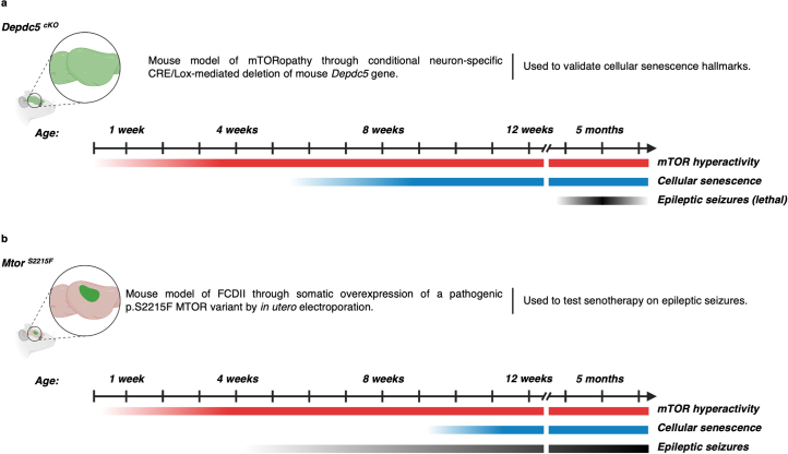 Extended Data Fig. 9