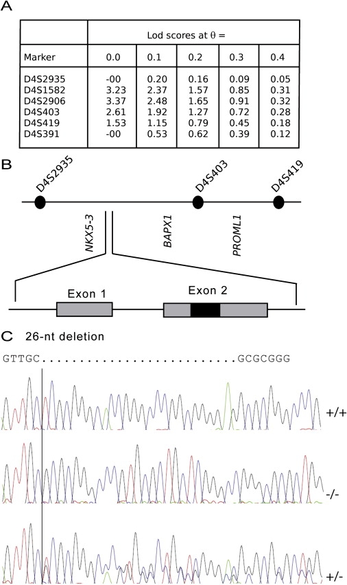 Figure 2