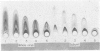 364