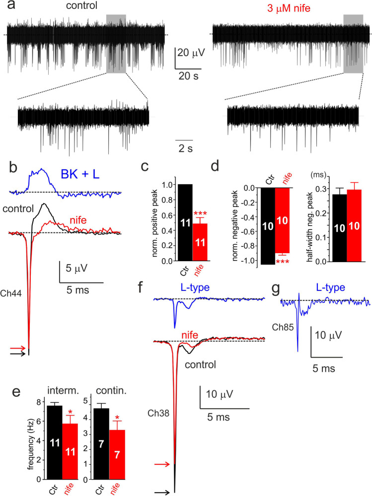 Fig. 10
