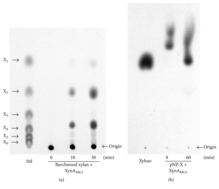 Figure 5