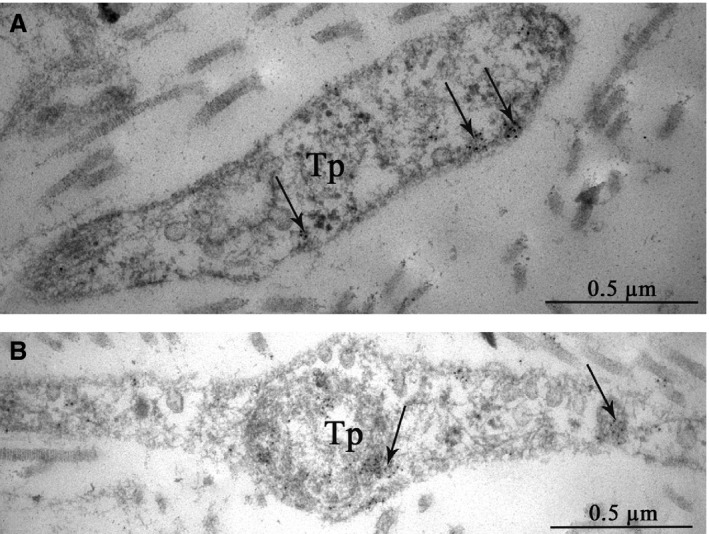 Figure 14