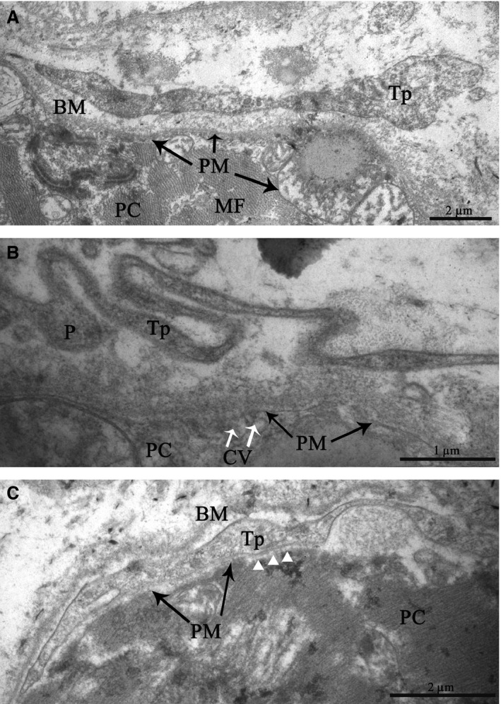 Figure 12