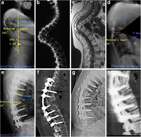 Fig. 5