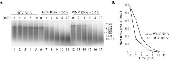 FIG. 5.