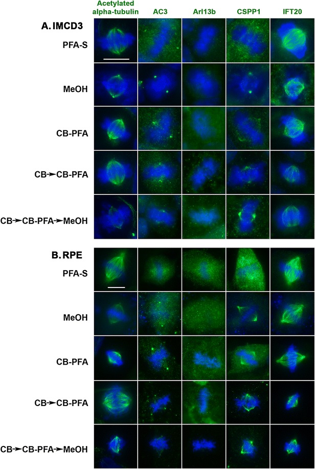 Fig. 7