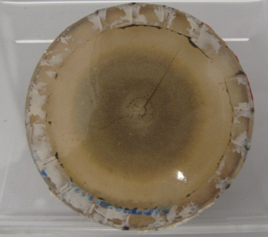 Fig 2.