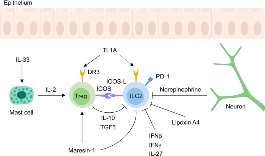 FIGURE 3