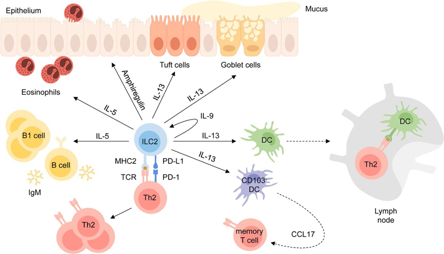 FIGURE 4