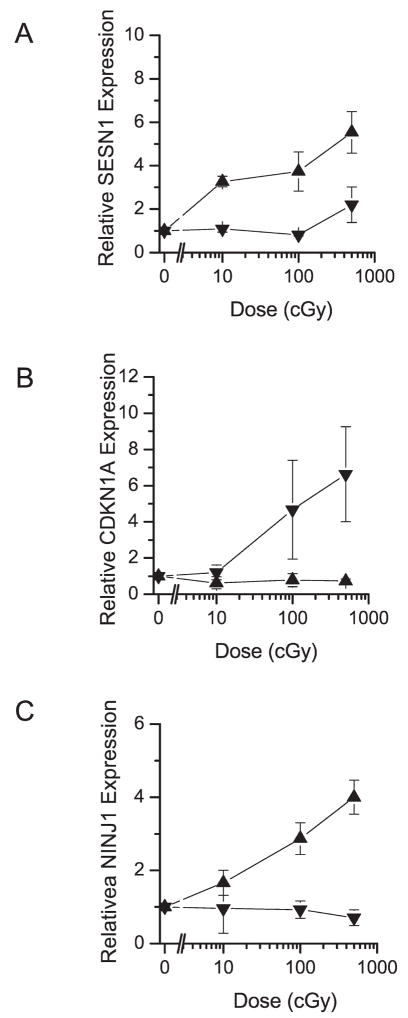 FIG. 7