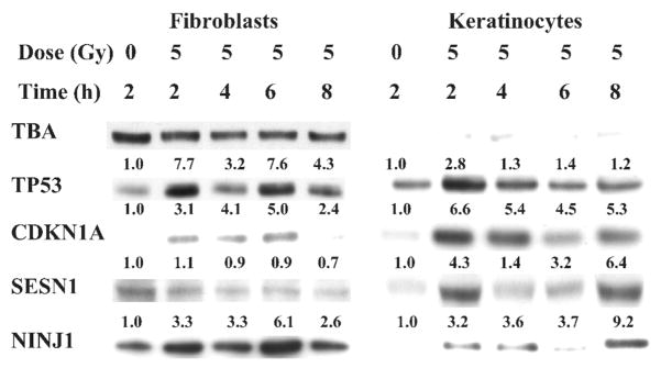 FIG. 8