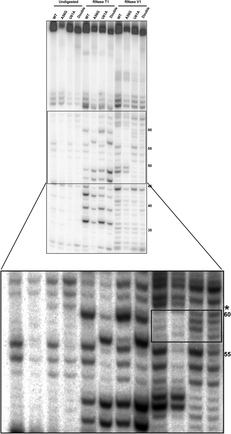 Fig. S6.