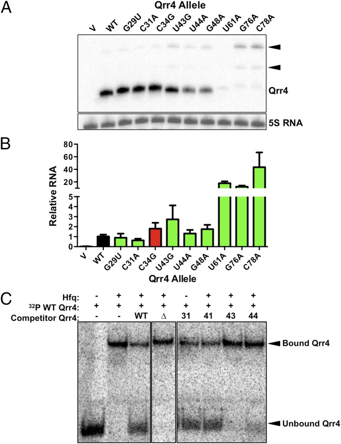 Fig. 4.