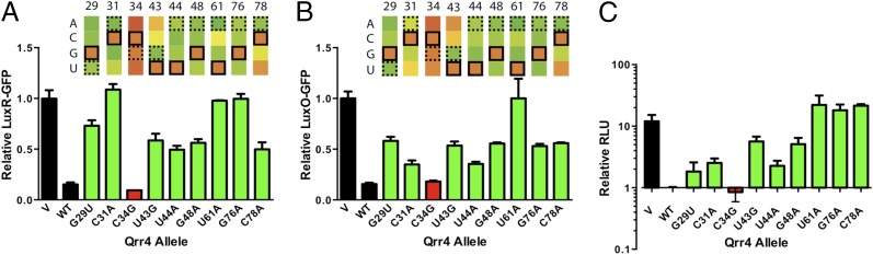 Fig. 3.