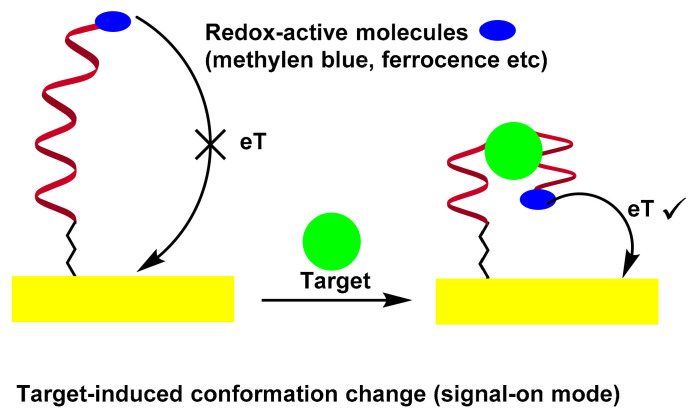 Scheme 5