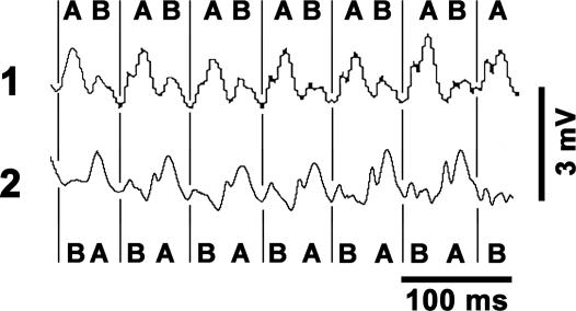 Fig. 3.