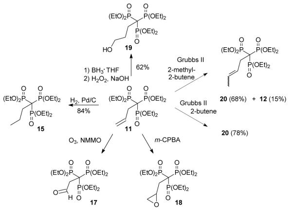 Scheme 2