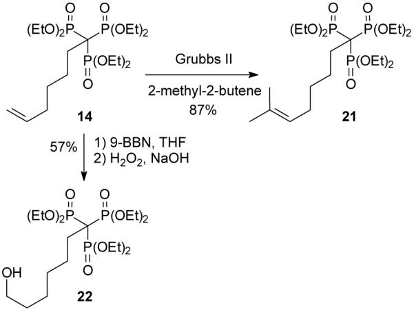 Scheme 3