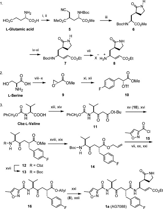 Scheme 1