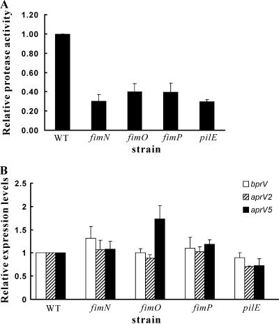 FIG. 6.