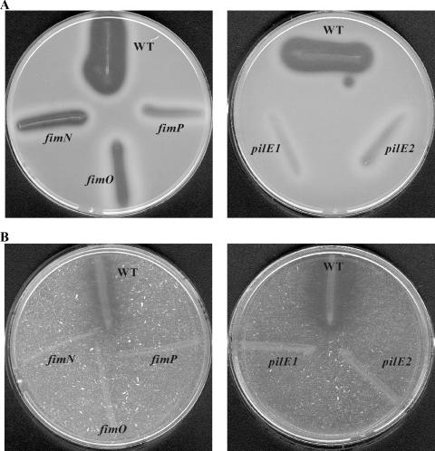 FIG. 5.