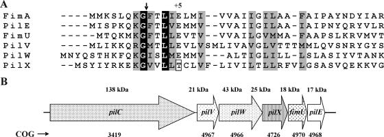 FIG. 4.