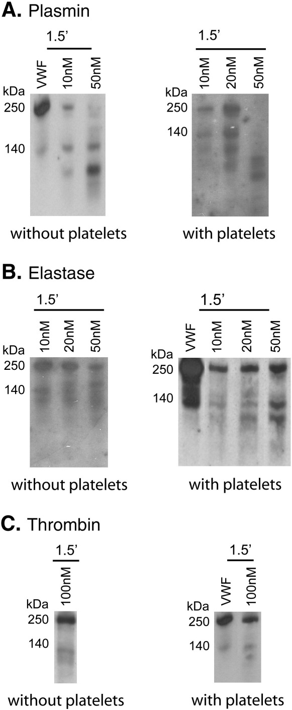 Fig. 3