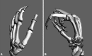 Fig. 2A–B