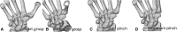 Fig. 16A–D