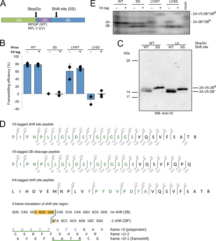 FIG 4