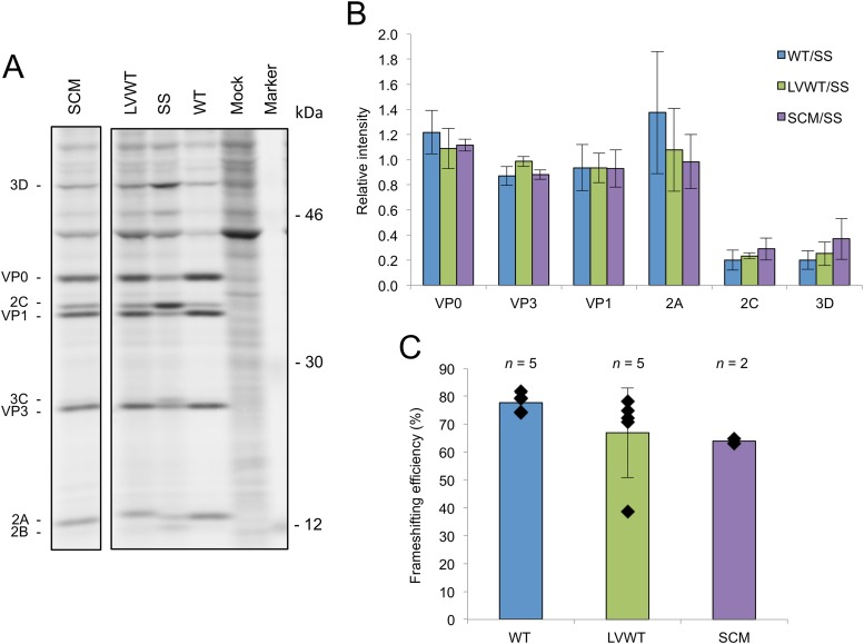 FIG 3