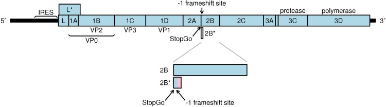 FIG 1