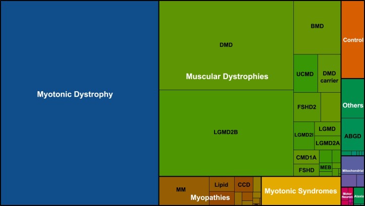 Fig. 2