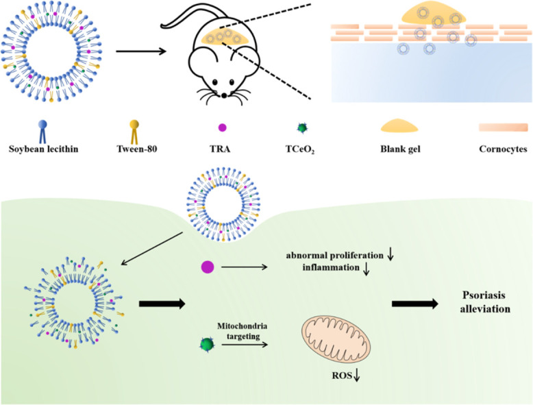 Image, graphical abstract