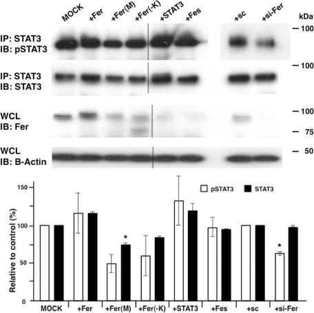 FIGURE 6: