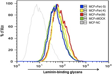 FIGURE 4: