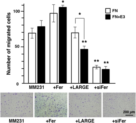 FIGURE 9: