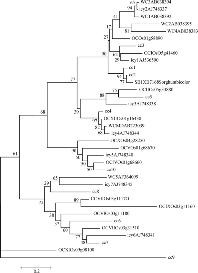 Figure 2