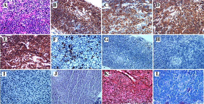 Figure 2