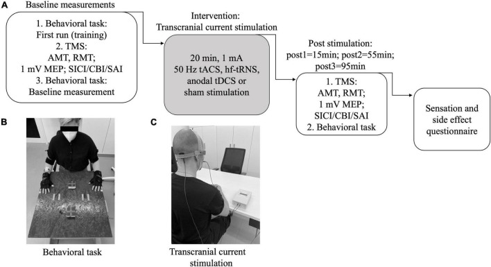 FIGURE 1