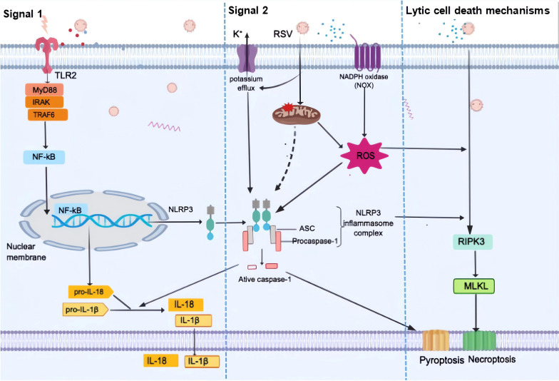 Fig. 2