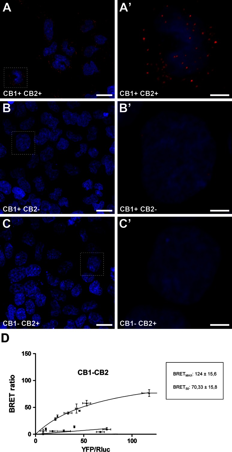 Fig. 6