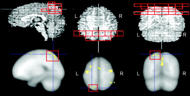 Fig 1.