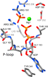 Fig. 3