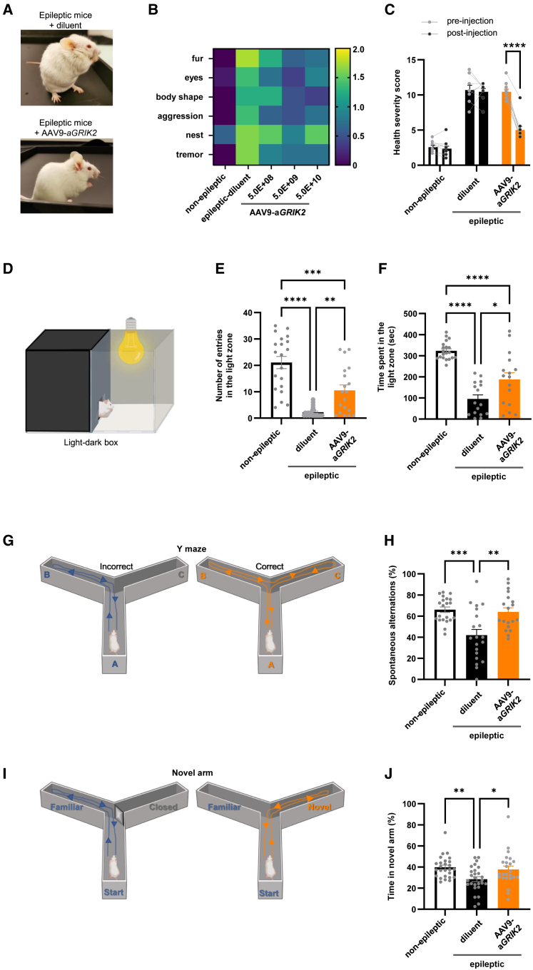 Figure 4