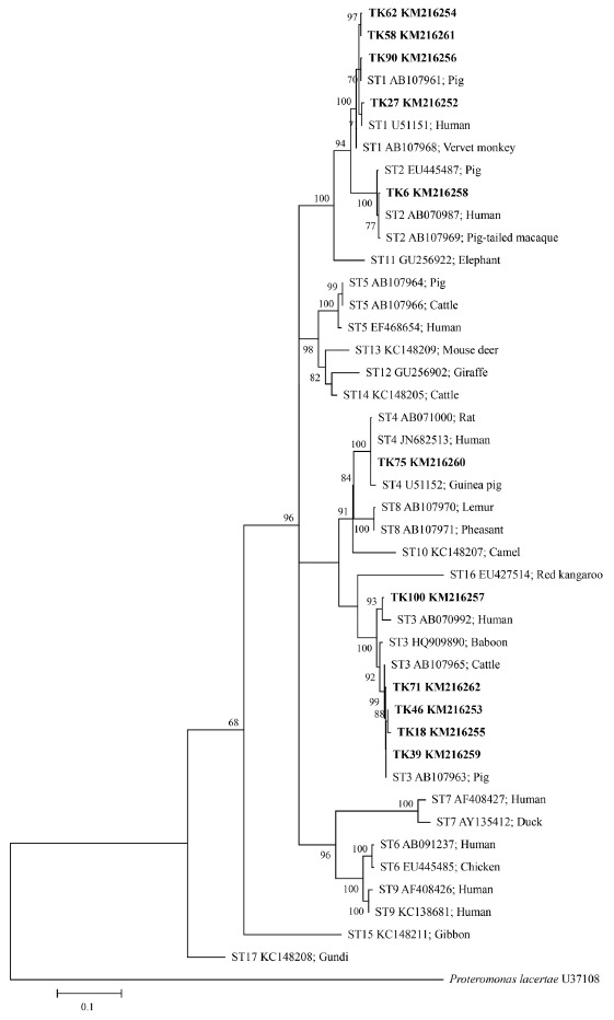 Fig. 3.