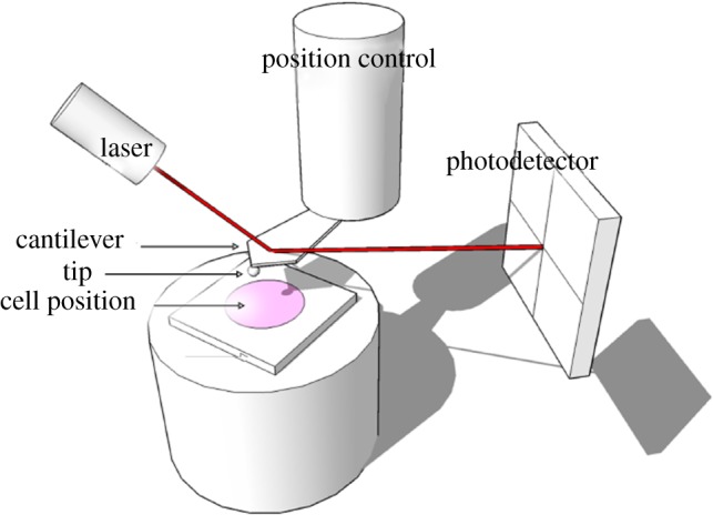 Figure 9.