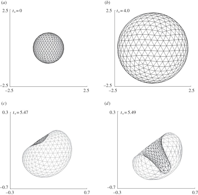 Figure 5.