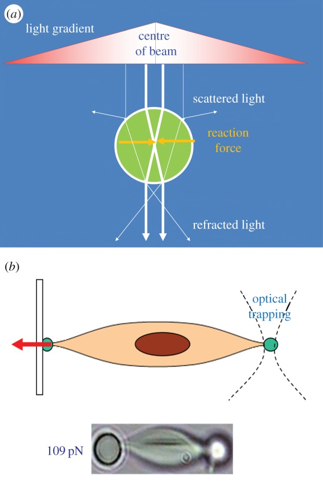 Figure 10.