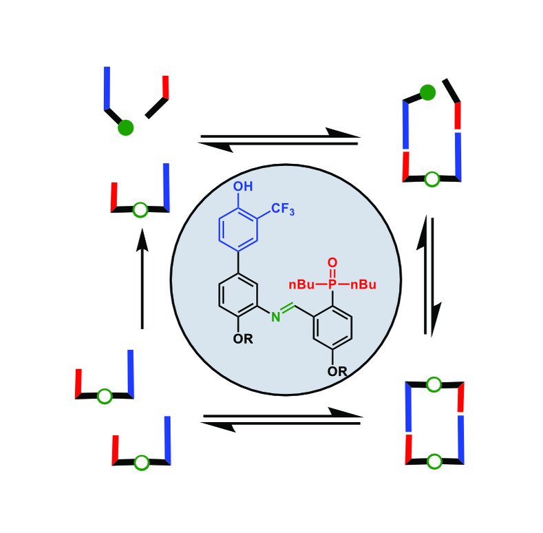 graphic file with name CHEM-30-e202401667-g004.jpg